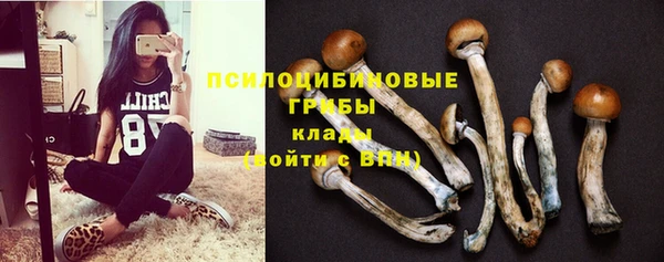 ECSTASY Зеленодольск